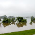 Hochwasser im Rückhaltepolder in Salzderhelden.