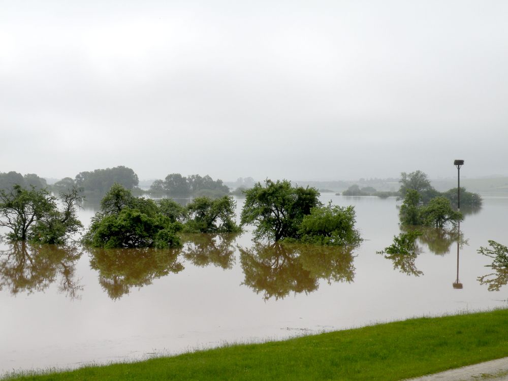 Hochwasser im Rückhaltepolder in Salzderhelden.