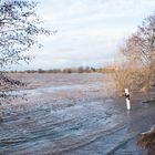 Hochwasser im Südharz 2023