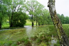 Hochwasser im Vogtland - Aufnahme vom 04.06.2013