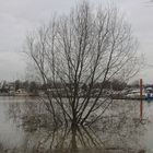 Hochwasser im Weseler Yachthafen