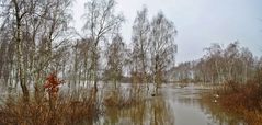 Hochwasser im Winter