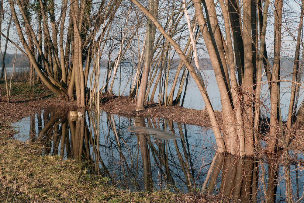 Hochwasser-Impressionen