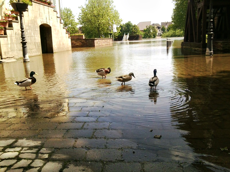 Hochwasser in Beverungen :)