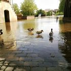 Hochwasser in Beverungen :)