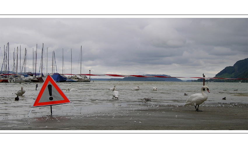 hochwasser in biel