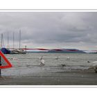 hochwasser in biel