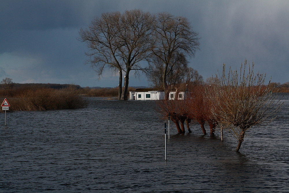 Hochwasser in Bleckede.