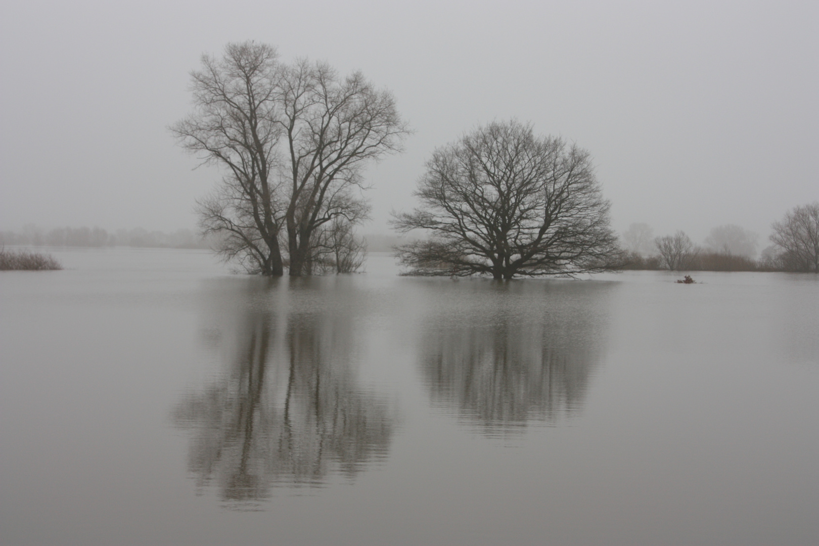 Hochwasser in Bleckede im Nebel