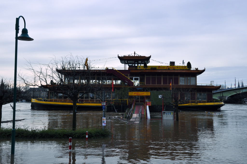 Hochwasser in Bonn