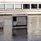 Hochwasser in Bonn