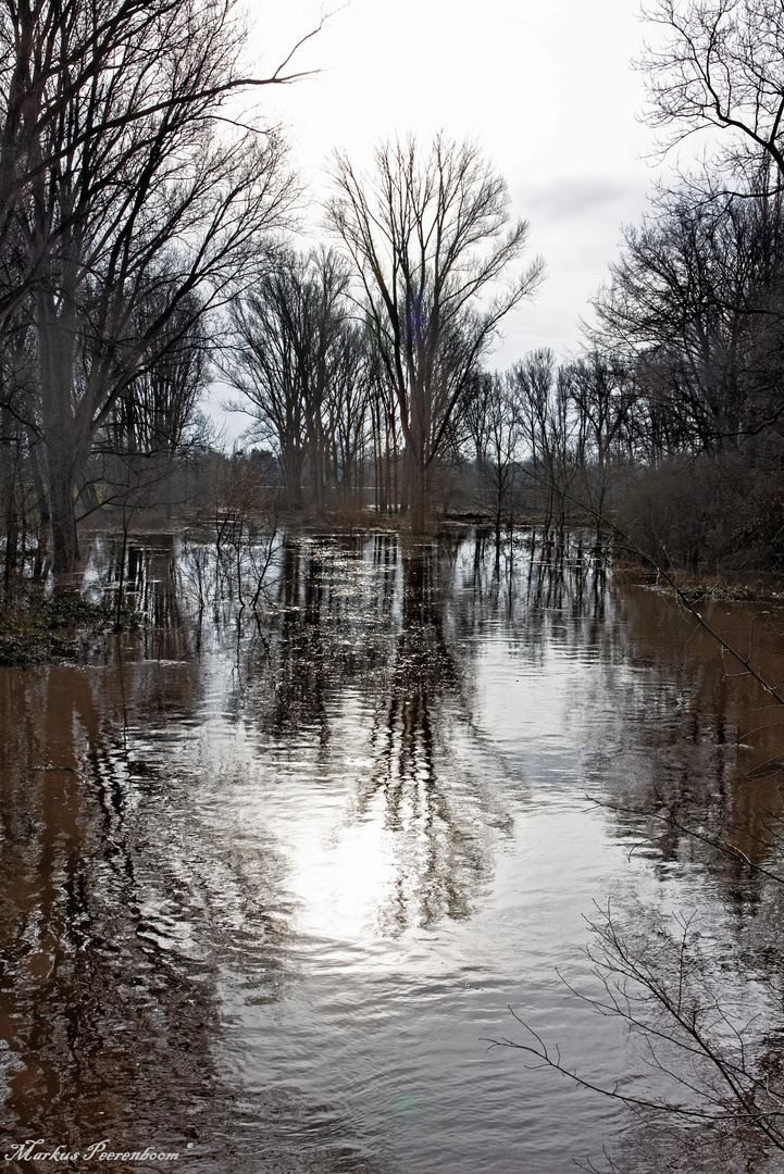 Hochwasser in den Erftauen