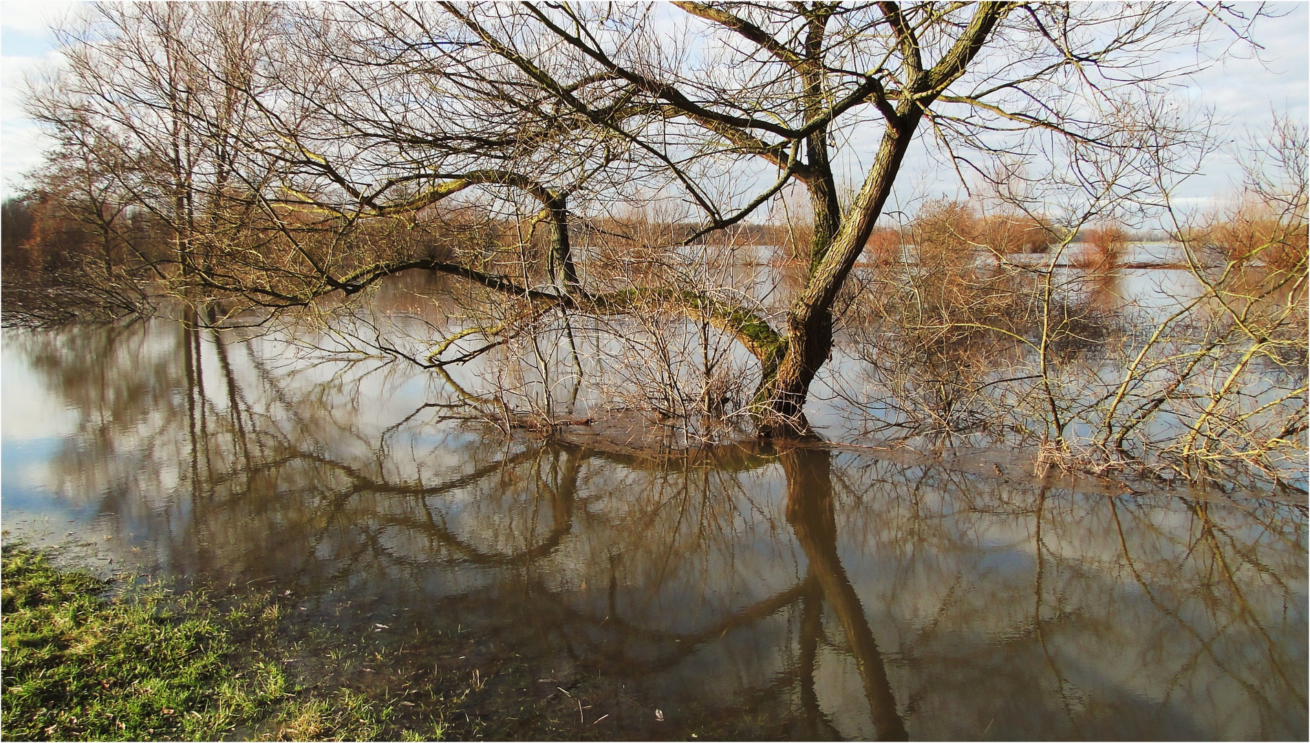 Hochwasser in den Rheinauen