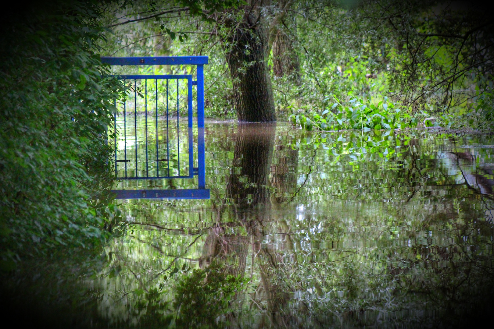 Hochwasser in der Gartenanlage... Foto & Bild projekte, dienstag ist