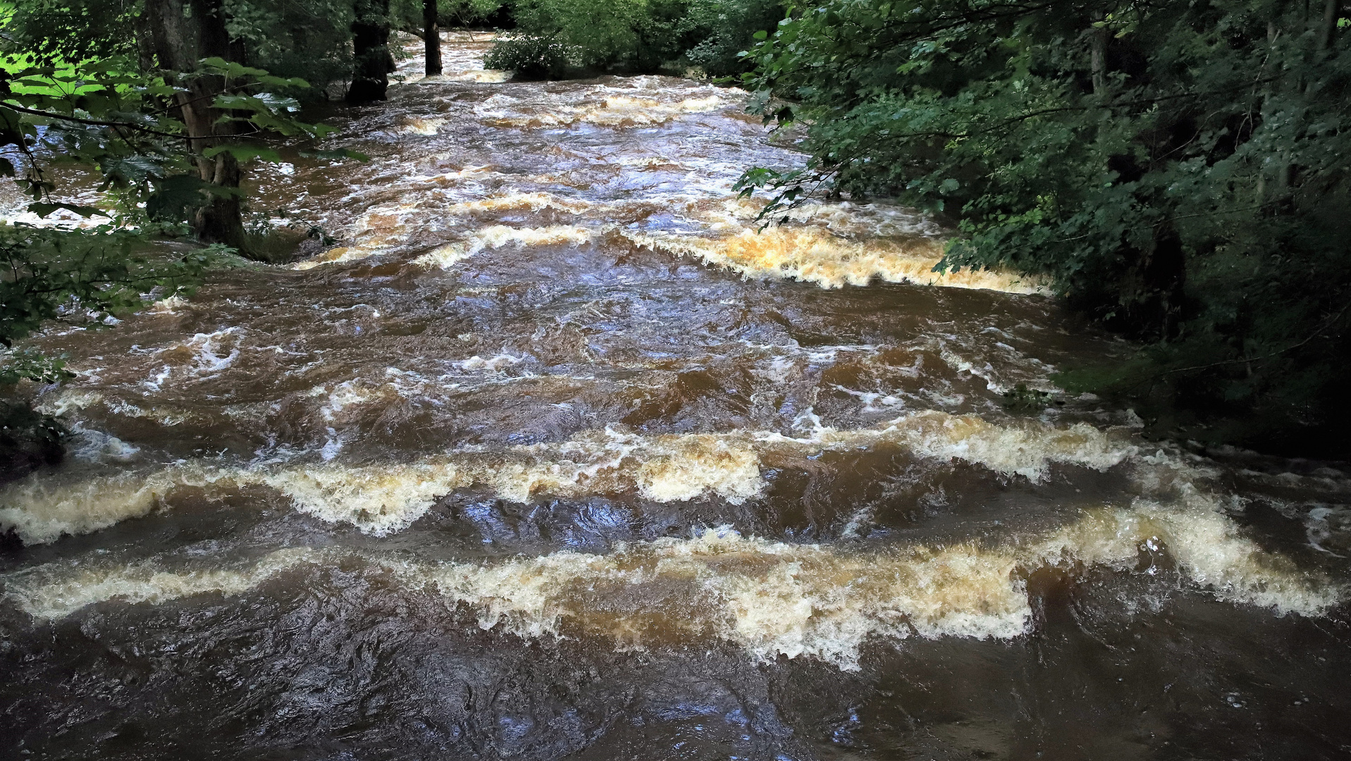 Hochwasser in der Heve im Arnsberger Wald 