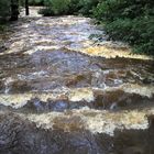 Hochwasser in der Heve im Arnsberger Wald 