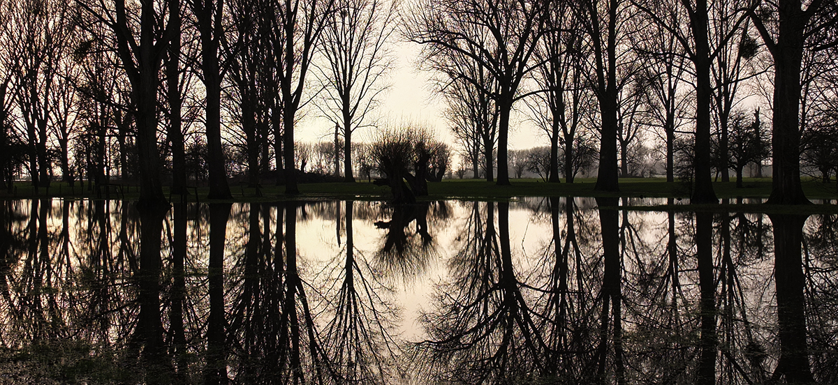 Hochwasser in der Urdenbacher Kämpe