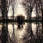 Hochwasser in der Urdenbacher Kämpe