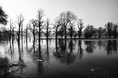 Hochwasser in der Urdenbacher Kämpe