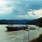 Hochwasser in der Wachau 2