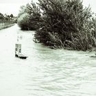 Hochwasser in der Wachau 4