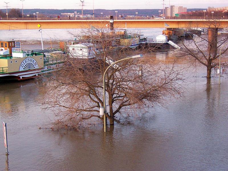 Hochwasser in Dresden