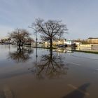 Hochwasser in Dresden