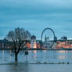 Hochwasser in Düsseldorf