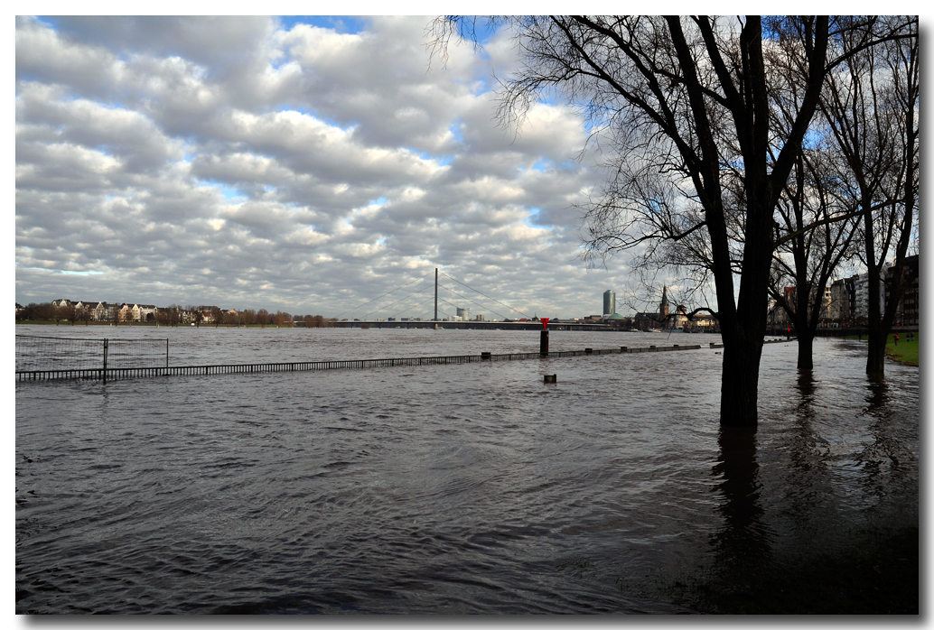 Hochwasser in Düsseldorf