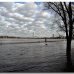 Hochwasser in Düsseldorf