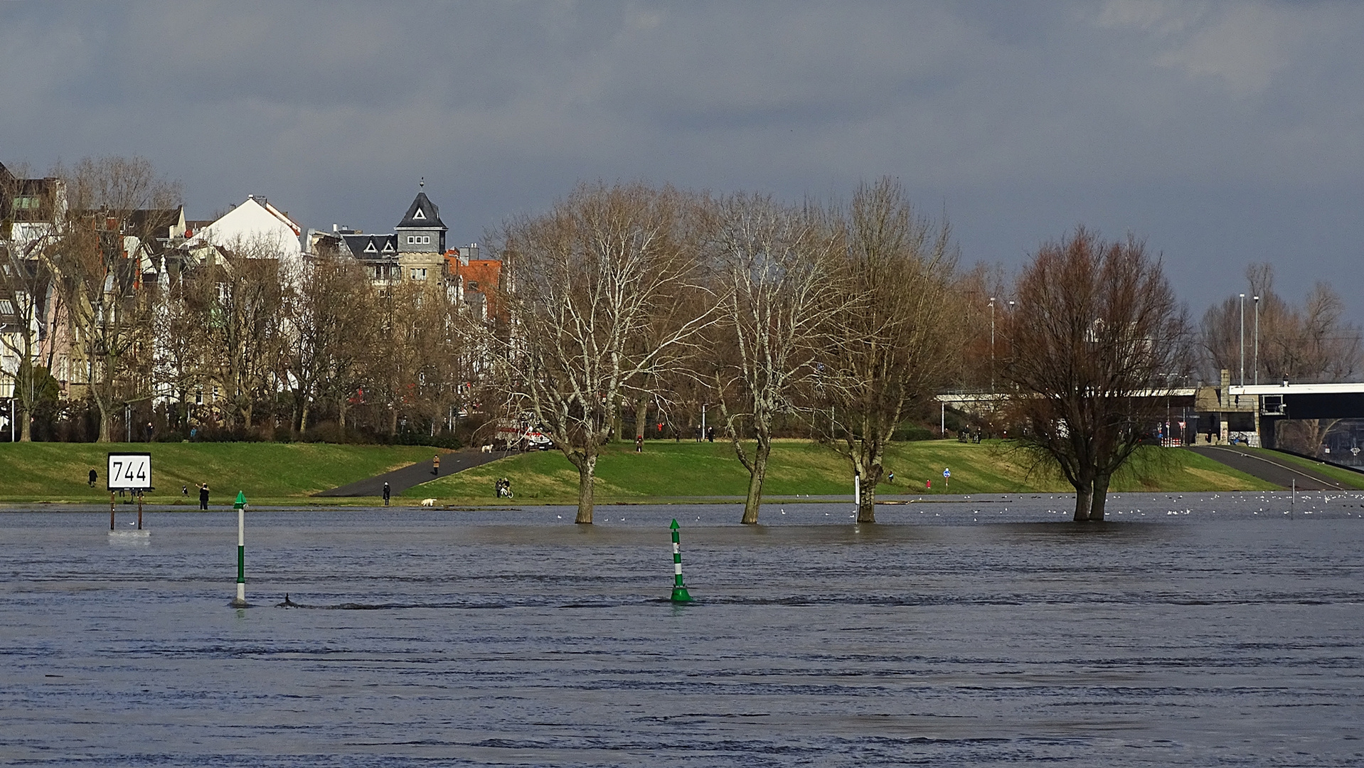 Hochwasser in Düsseldorf