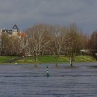 Hochwasser in Düsseldorf