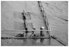 Hochwasser in Frankfurt am (im) Main - Fahrrad