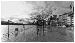 Hochwasser in Frankfurt am (im) Main - Untermainkai