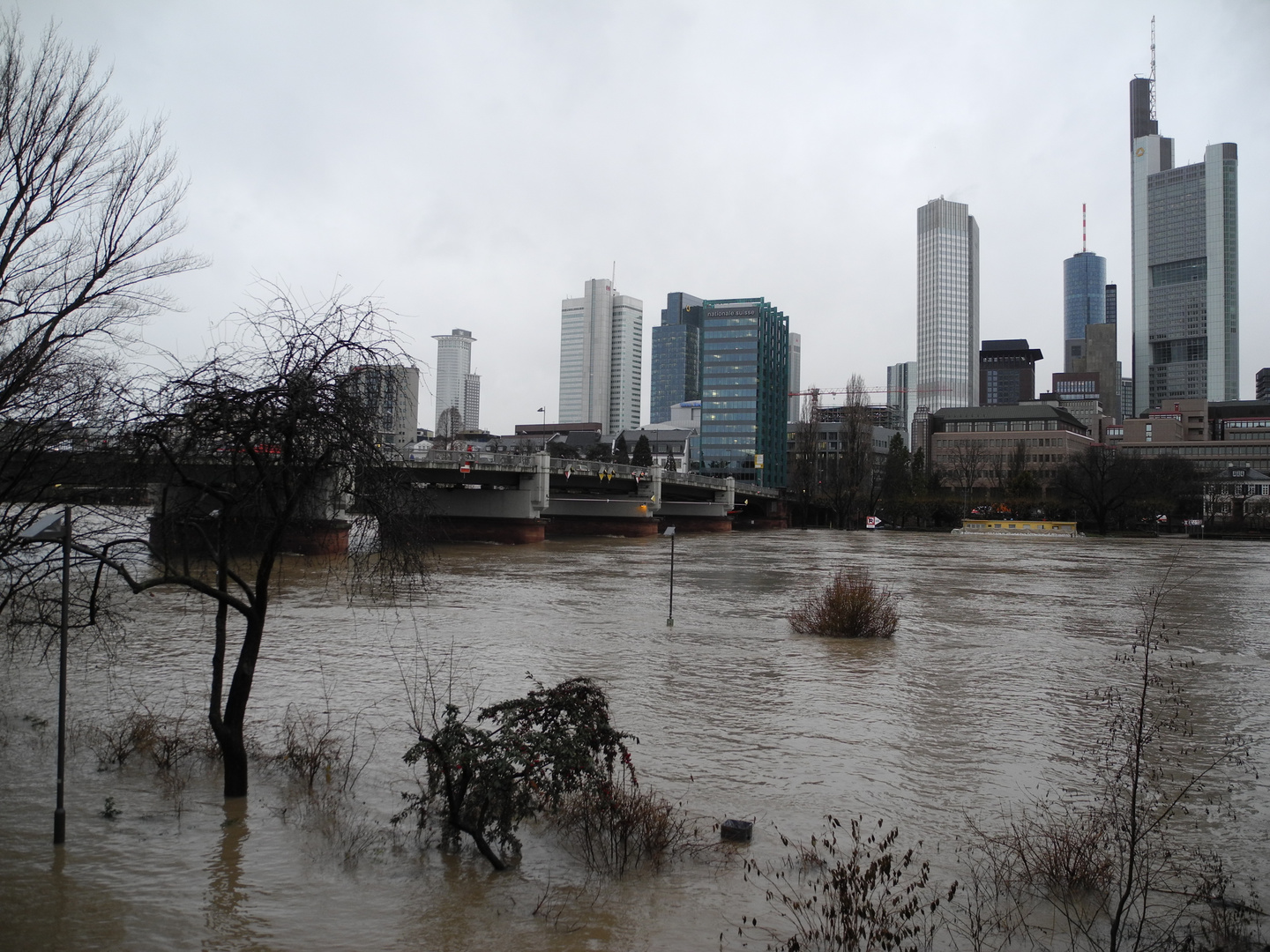 Hochwasser in Frankfurt am Main