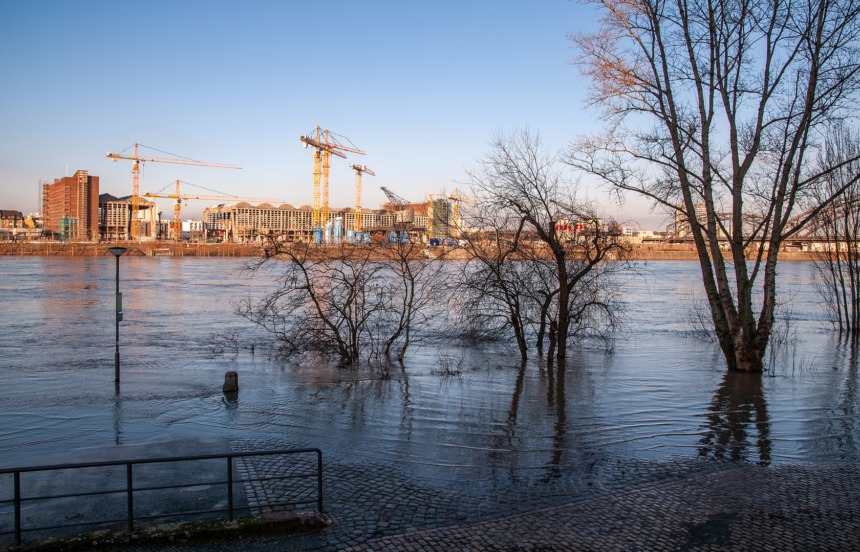 Hochwasser in Frankfurt anno ´11