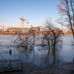 Hochwasser in Frankfurt anno ´11