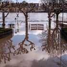 Hochwasser in Frankfurt anno ´11