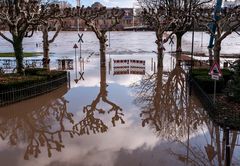 Hochwasser in Frankfurt anno ´11