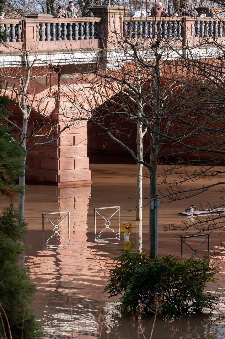 Hochwasser in Frankfurt anno ´11