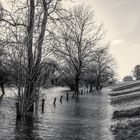 Hochwasser in Friemersheim 1