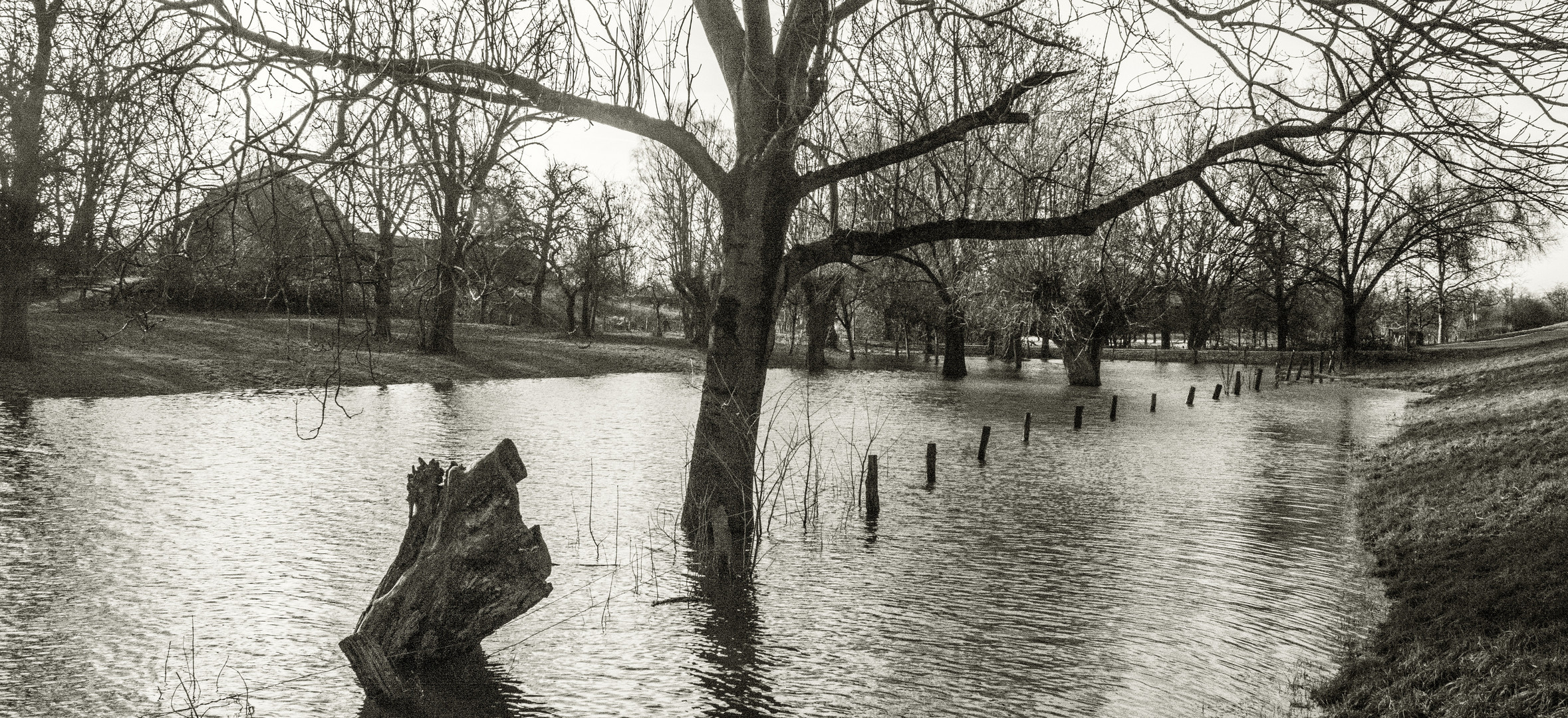 Hochwasser in Friemersheim 2