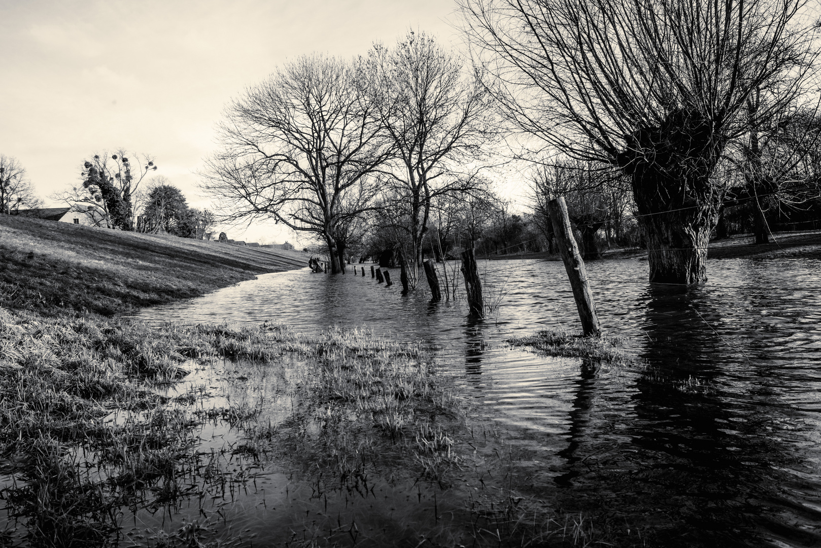 Hochwasser in Friemersheim 3