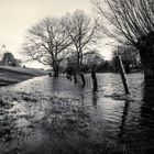 Hochwasser in Friemersheim 3