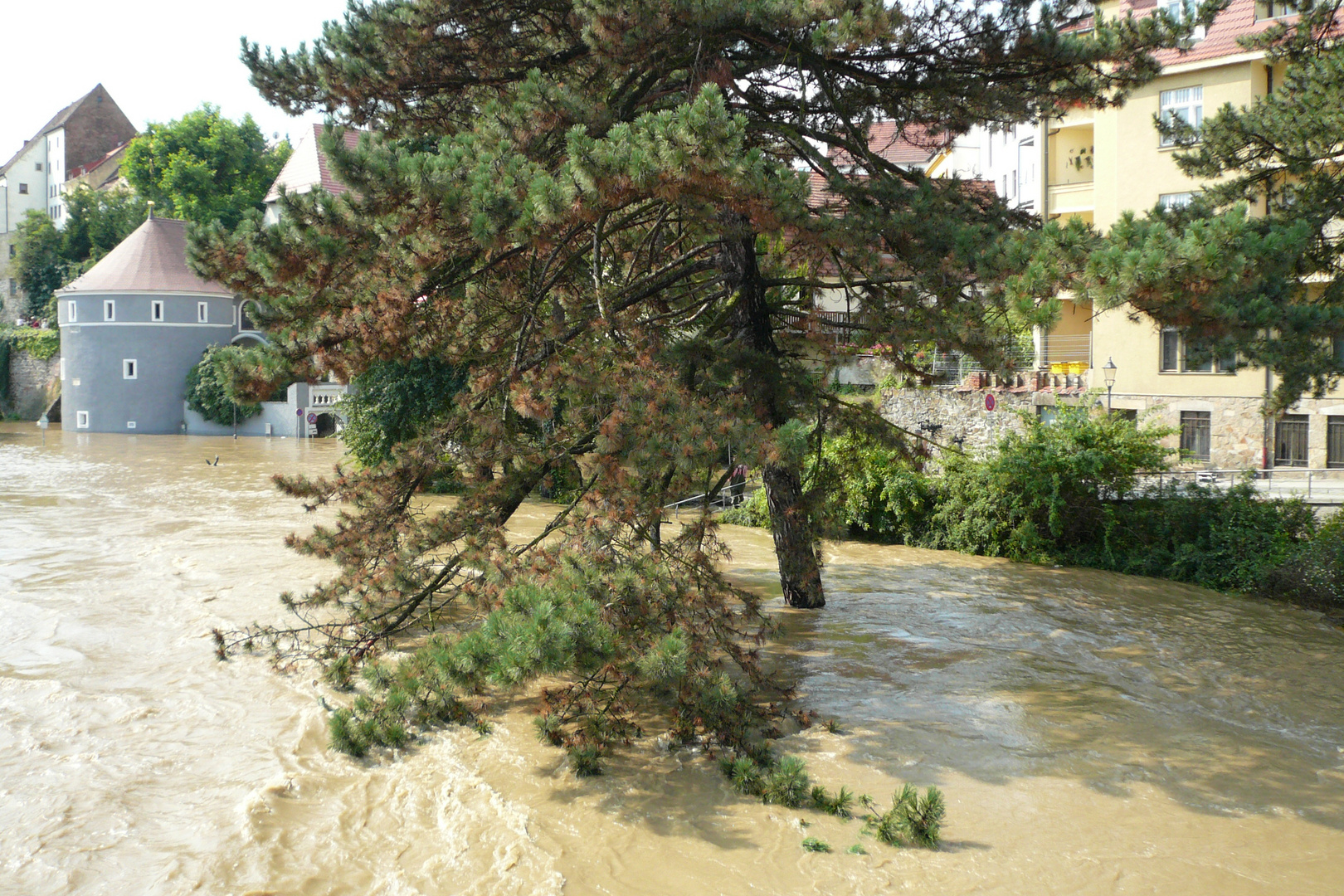 Hochwasser in Görlitz am 08.08.2010