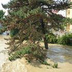 Hochwasser in Görlitz am 08.08.2010