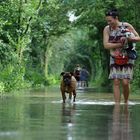 Hochwasser in Hannover