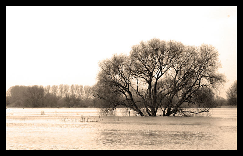 Hochwasser in Hannover