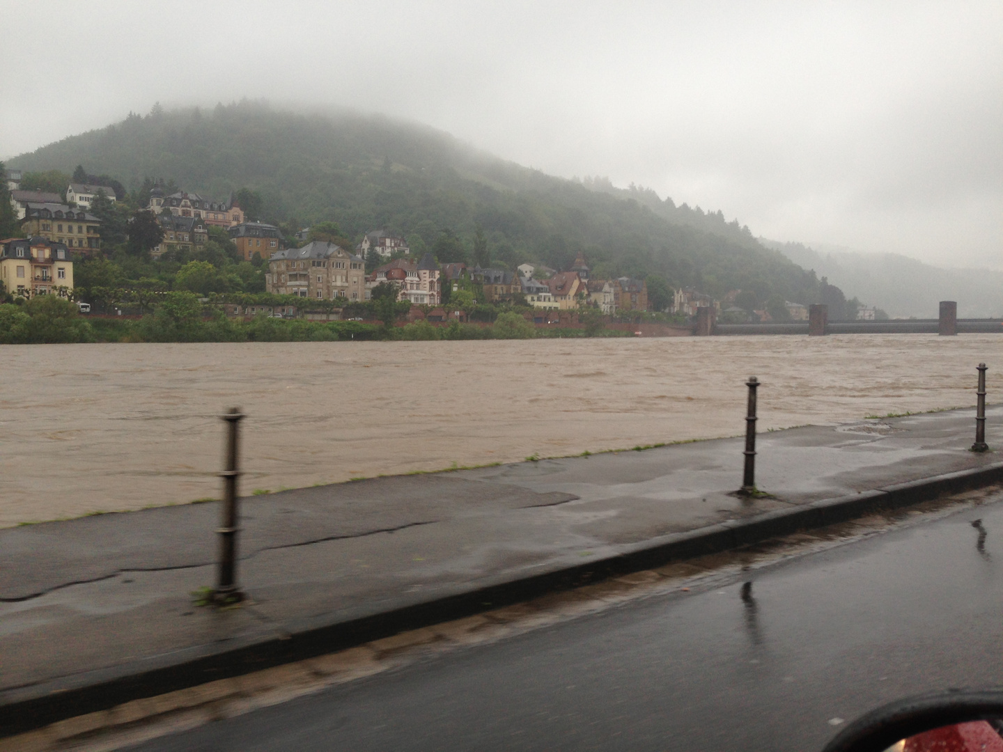 Hochwasser in Heidelberg 2013