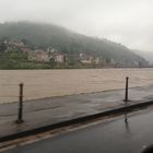 Hochwasser in Heidelberg 2013